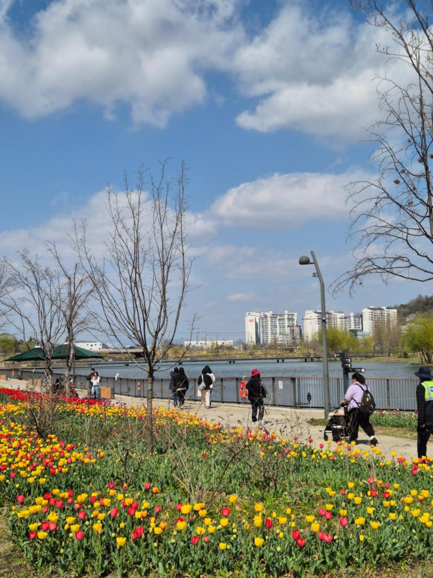 Staylim - Botanic Park, Airport * Seoul